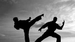 karate_fight