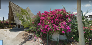 Nella foto, in alto: lussureggianti bouganville ovunque, un'esplosione di fiori colorati