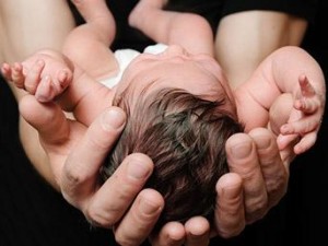 Nella foto, in alto: un neonato piccino picciò (foto di repertorio)