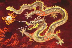 dragone-cinese